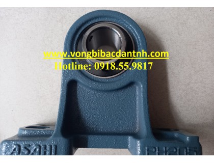 GỐI ĐỠ PH201-UCPH201